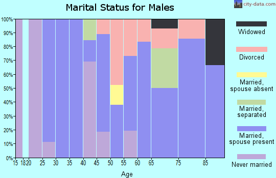 Zip code 04495 marital status for males