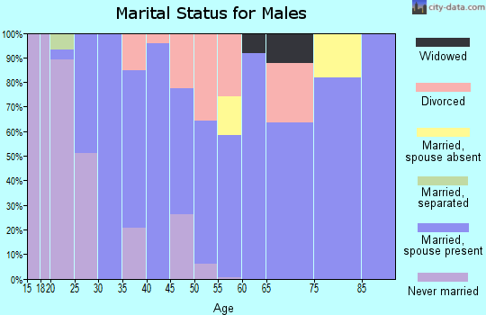 Zip code 04496 marital status for males