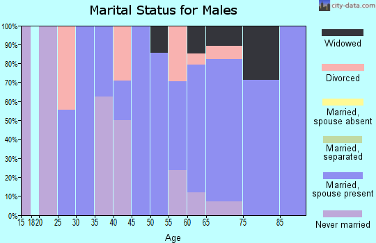 Zip code 04497 marital status for males