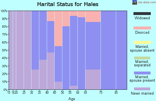 Zip code 04535 marital status for males