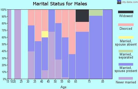 Zip code 04537 marital status for males