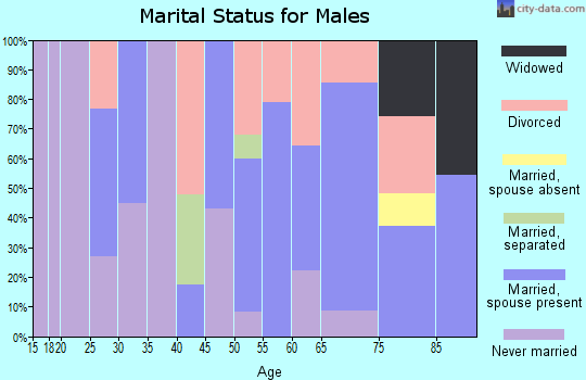 Zip code 04538 marital status for males