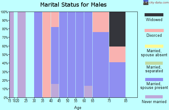 Zip code 04539 marital status for males