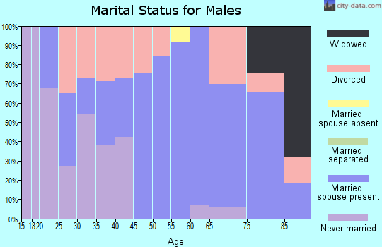 Zip code 04543 marital status for males