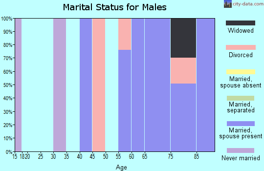 Zip code 04544 marital status for males
