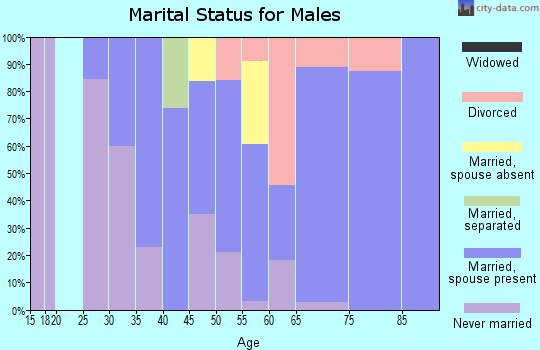 Zip code 04548 marital status for males