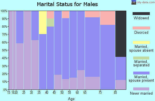 Zip code 04551 marital status for males