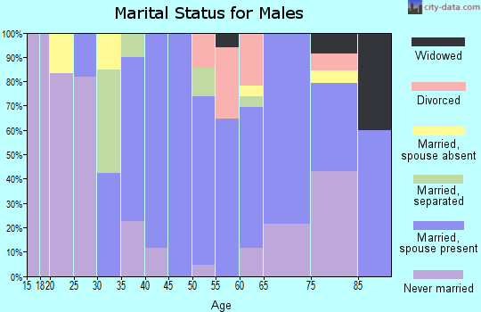 Zip code 04553 marital status for males