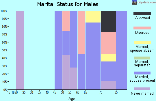Zip code 04554 marital status for males
