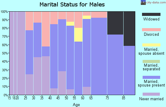Zip code 04555 marital status for males
