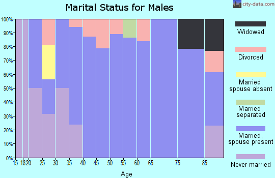 Zip code 04556 marital status for males