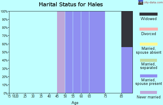 Zip code 04558 marital status for males