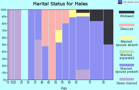 Zip code 04568 marital status for males
