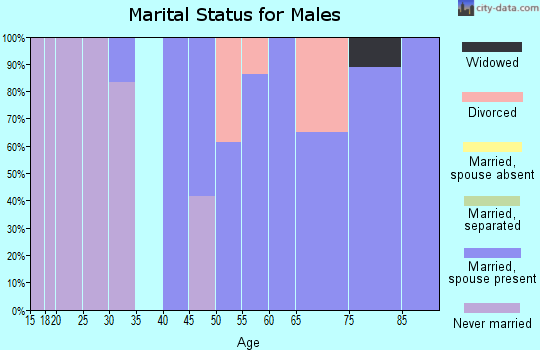 Zip code 04573 marital status for males
