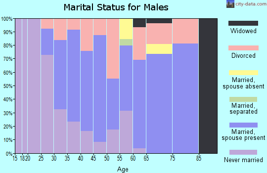 Zip code 04574 marital status for males