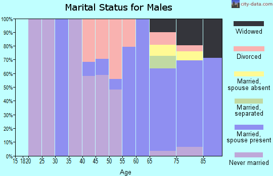 Zip code 04576 marital status for males