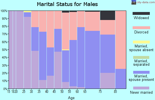 Zip code 04578 marital status for males
