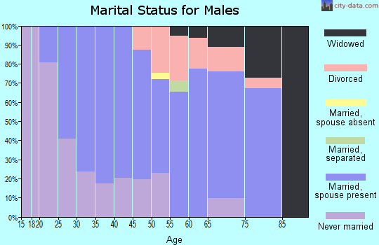 Zip code 04579 marital status for males