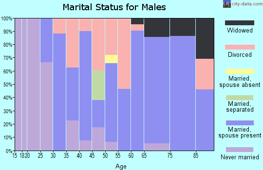 Zip code 04606 marital status for males