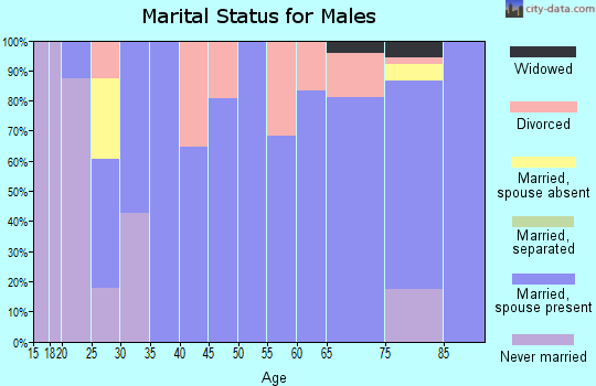 Zip code 04607 marital status for males