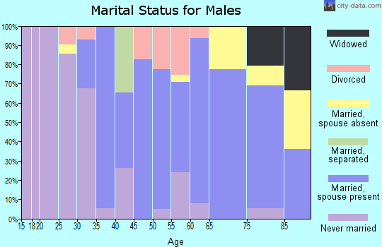 Zip code 04609 marital status for males