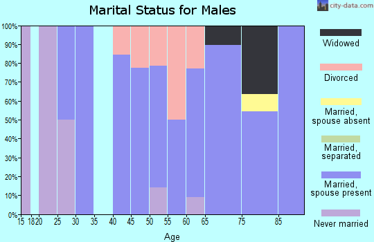 Zip code 04611 marital status for males