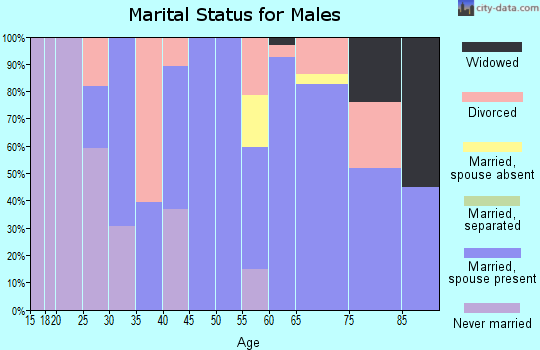 Zip code 04614 marital status for males