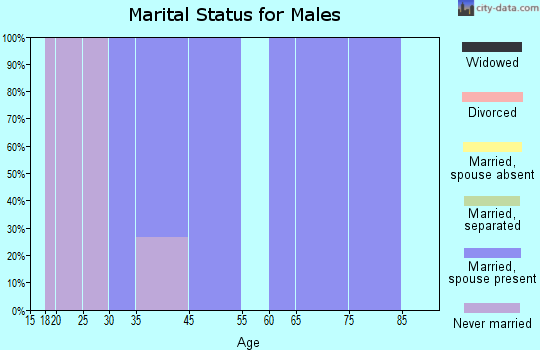 Zip code 04615 marital status for males