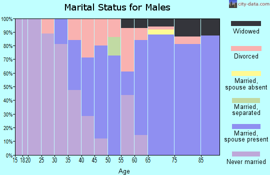 Zip code 04616 marital status for males