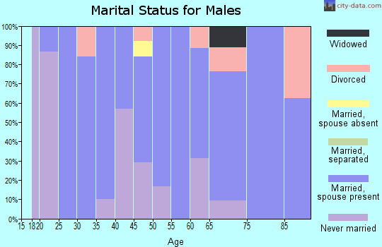 Zip code 04617 marital status for males