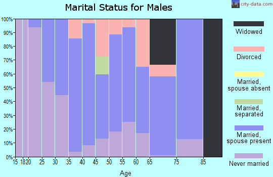 Zip code 04619 marital status for males