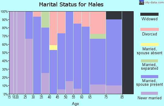 Zip code 04628 marital status for males