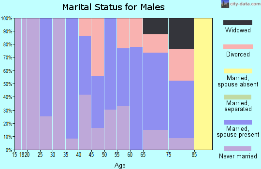 Zip code 04631 marital status for males