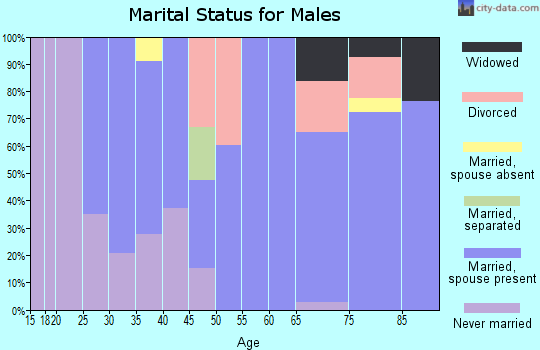Zip code 04640 marital status for males