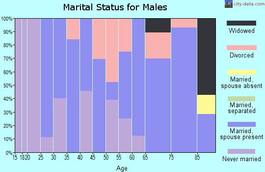 Zip code 04643 marital status for males