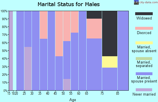 Zip code 04648 marital status for males