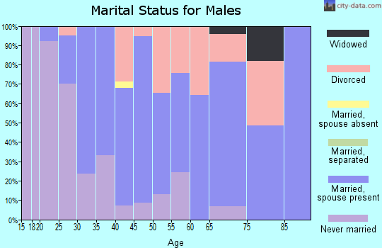 Zip code 04649 marital status for males