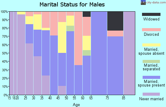 Zip code 04655 marital status for males
