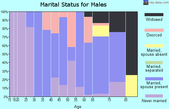 Zip code 04658 marital status for males