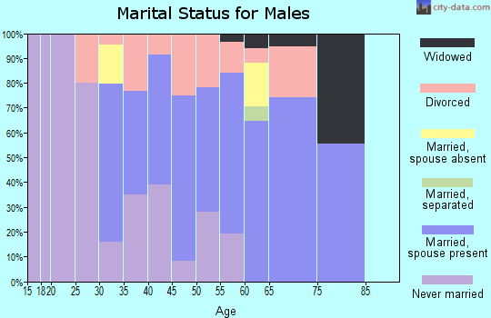 Zip code 04667 marital status for males