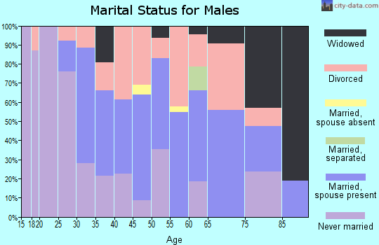 Zip code 04668 marital status for males