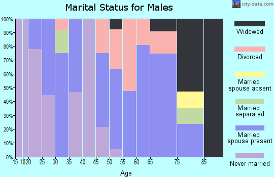 Zip code 04671 marital status for males