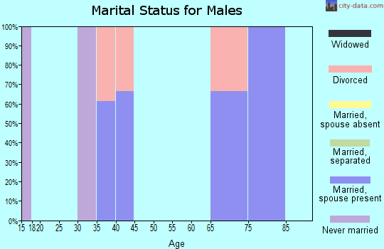 Zip code 04673 marital status for males