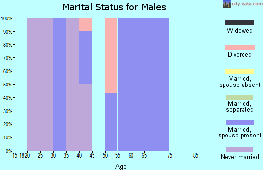 Zip code 04675 marital status for males