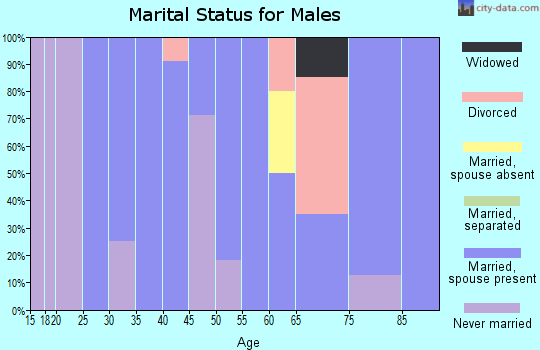Zip code 04685 marital status for males