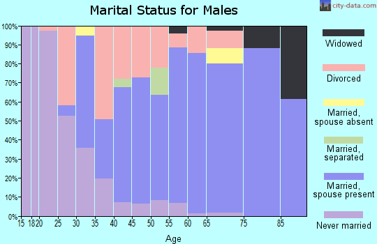 Zip code 04694 marital status for males