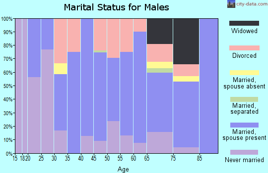Zip code 04732 marital status for males