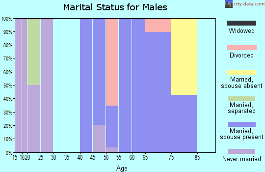Zip code 04733 marital status for males