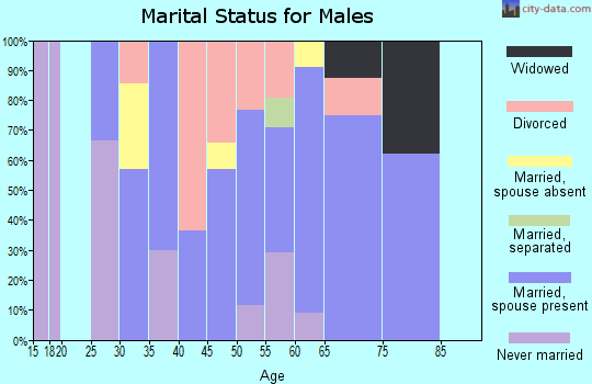 Zip code 04735 marital status for males