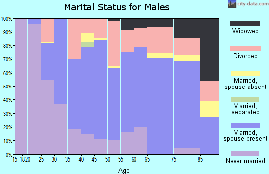 Zip code 04736 marital status for males
